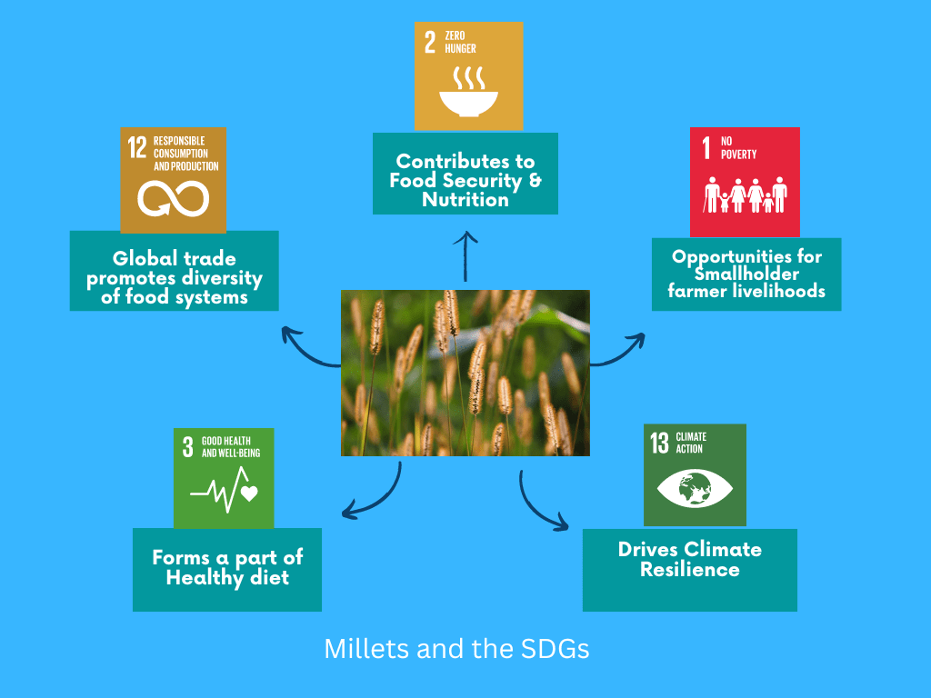 Traceability of Millet The Wonder Grain Millet Traceability