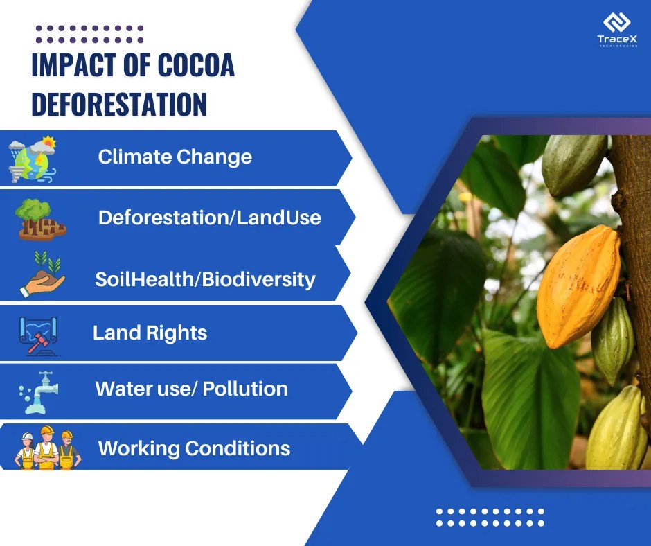 Cocoa Deforestation Unveiling Environmental & Social Impacts