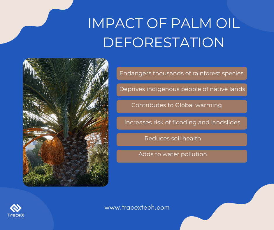 Towards Deforestation Free Palm Oil EUDR