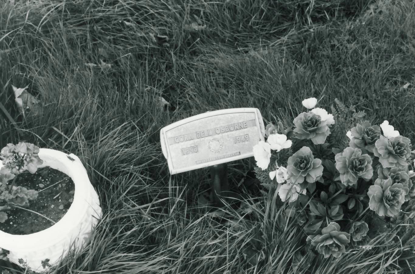 The Ostrander Family Gallery