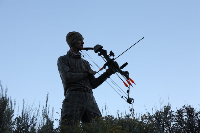 How Does a Compound Bow Work Track and Pursue