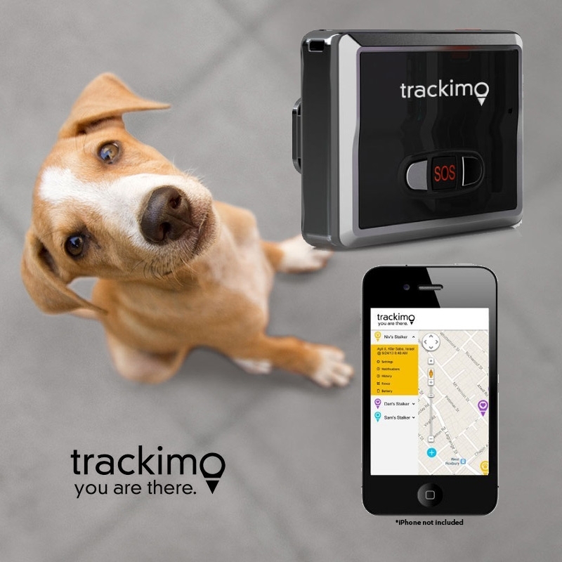 GPS Trackers for Your Pets Trackimo