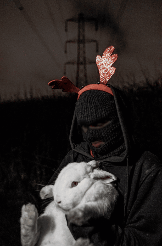 British Anarchist Raid Attack on 'T&S Rabbit' Company Location