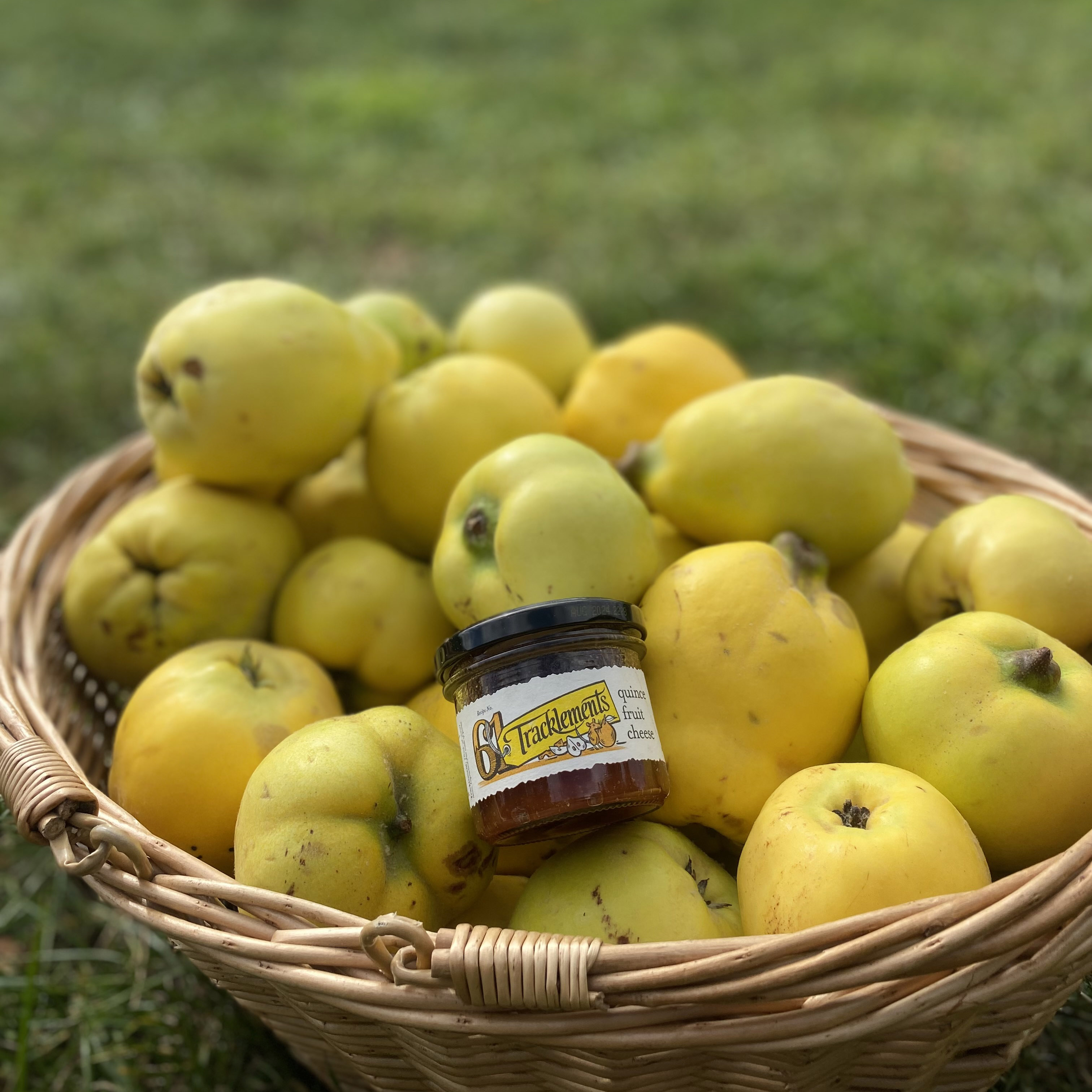 The Best Ingredients Tracklements USA