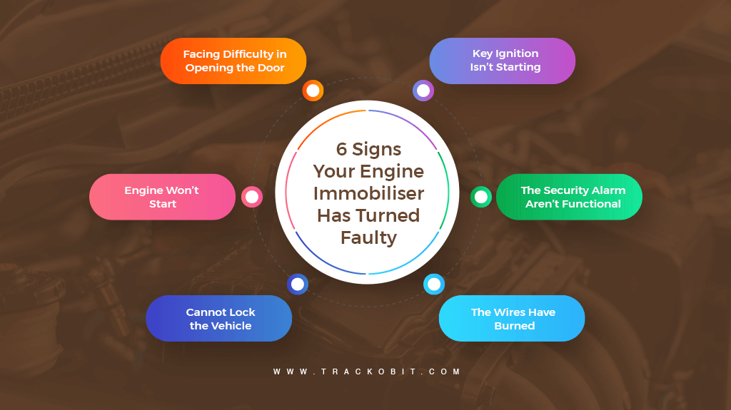 What Is Immobiliser In French at Leandra Epley blog
