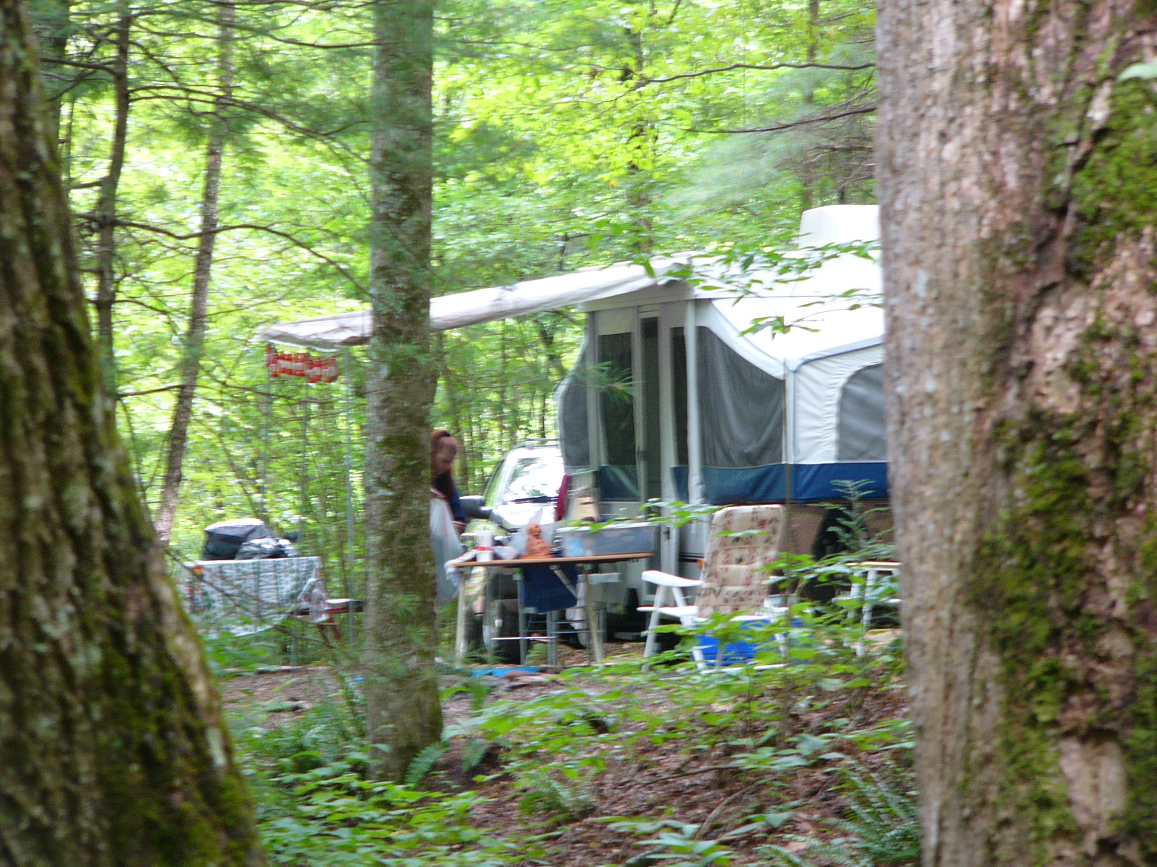 Campground TrackRock Campground and Stables