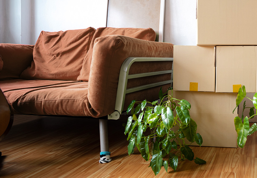 Apartment Movers DMV TracLoad