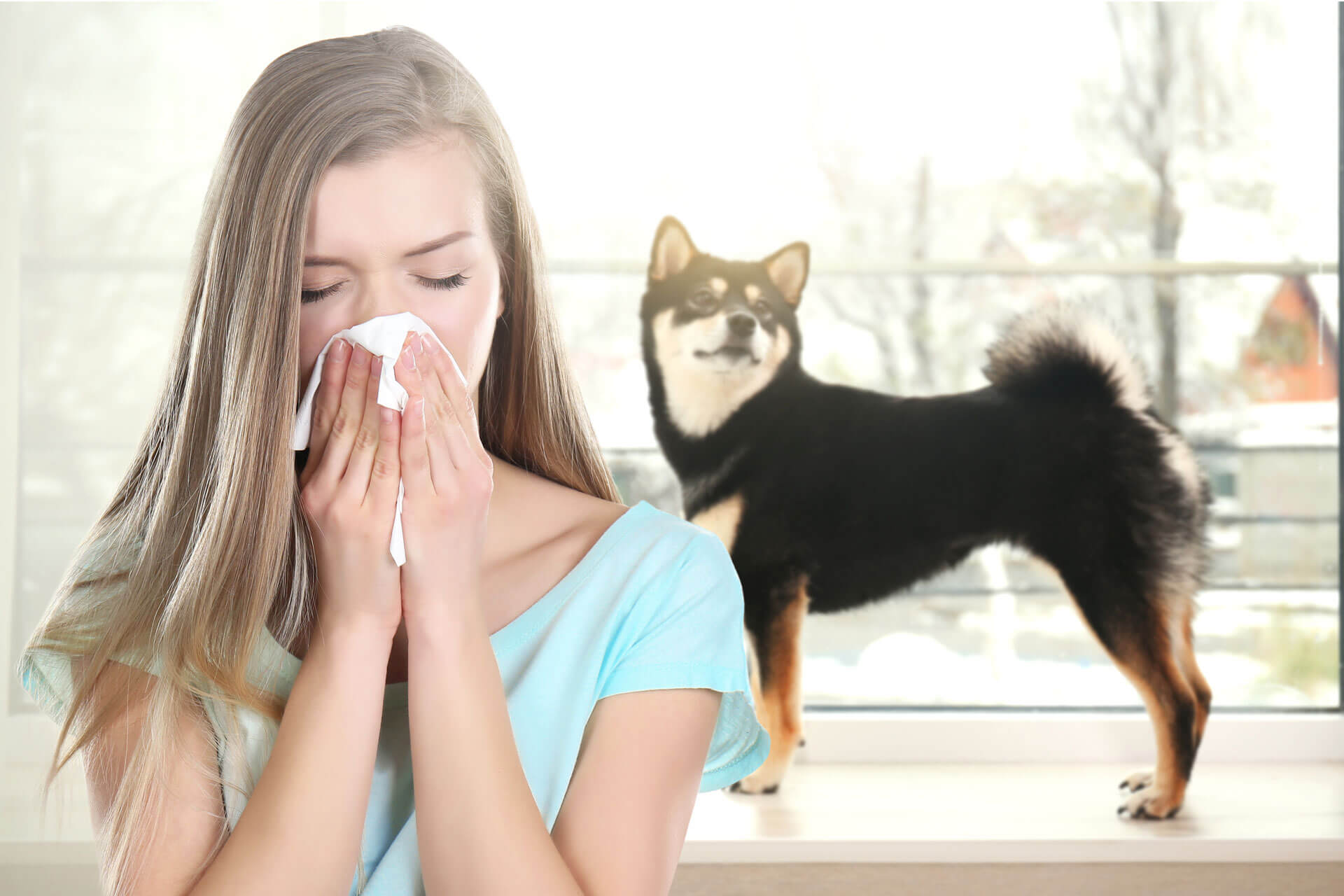 Can My Dog Catch My Cold? Discover It Now | Tractive