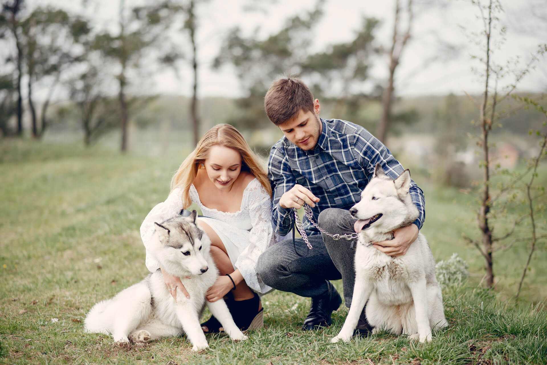 Benefits of Having a Dog 10 Amazing Advantages Tractive(010)