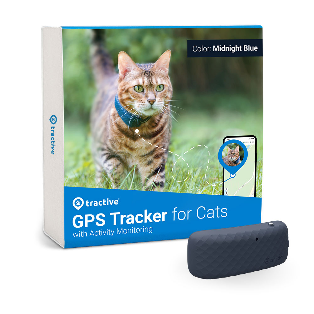 How To Find A Lost Cat: 15+ Tips To Retrieve A Missing Cat - Tractive
