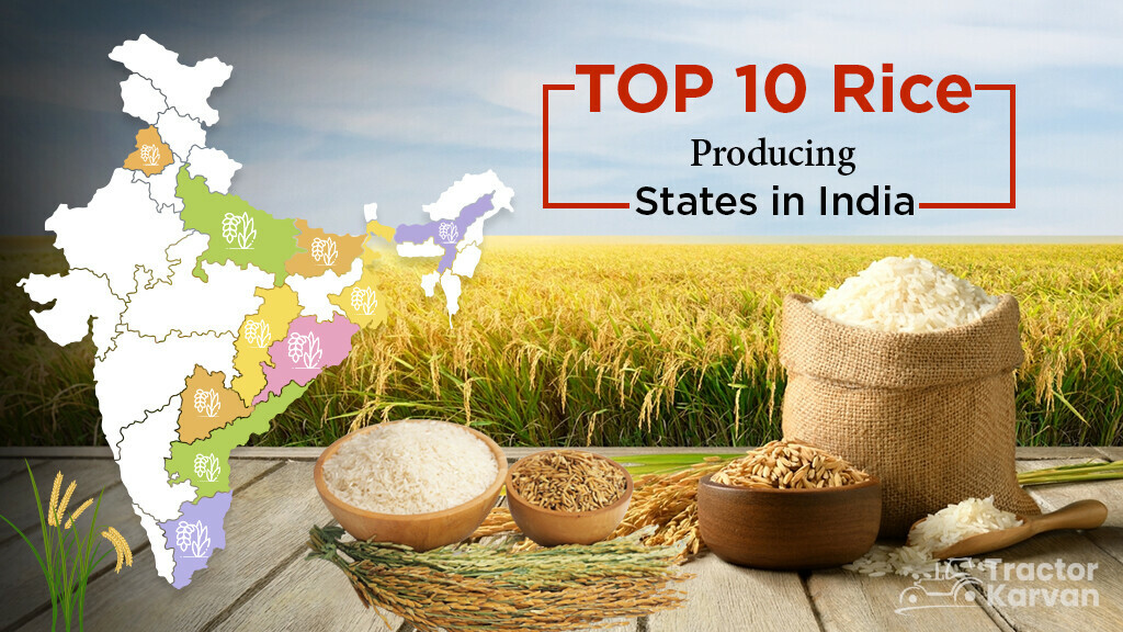 Top 10 Largest Rice Producing States in India 2024 Tractorkarvan