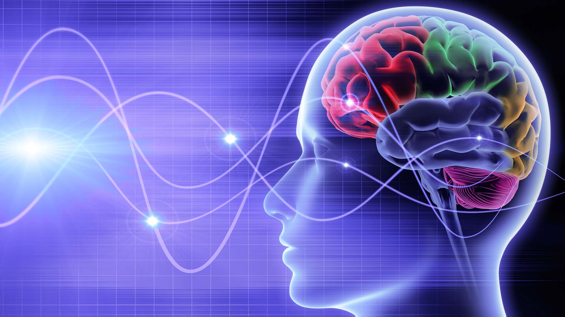 Understanding Your Brainwaves Tracy Alston Mental Fitness Matters
