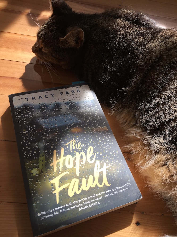 The Hope Fault on the floor with cat