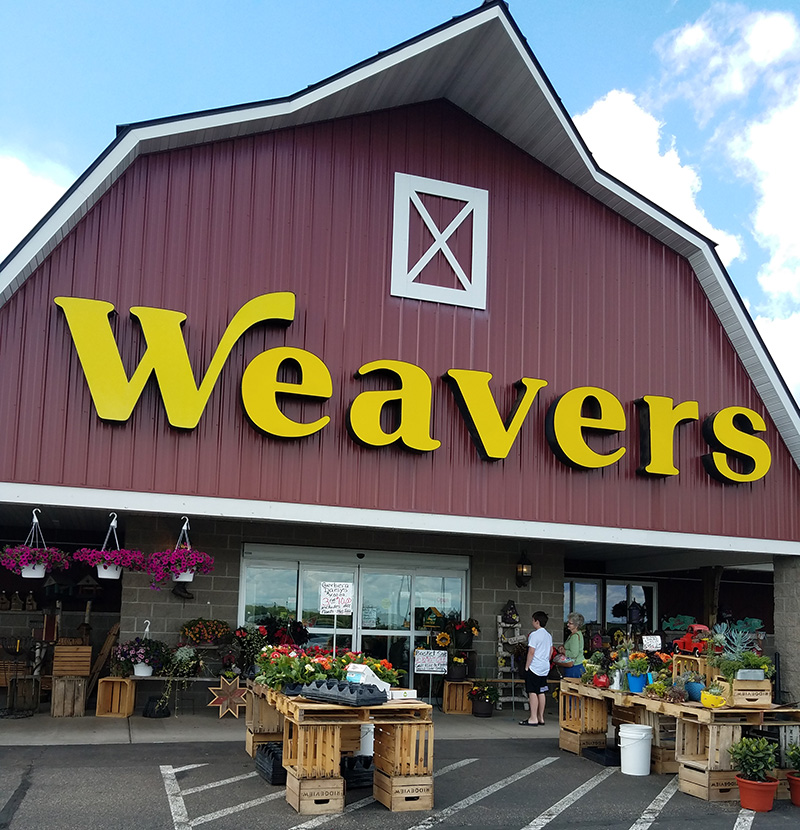 A Visit to Amish Country Augusta, WI Tracy Fredrychowski, Author