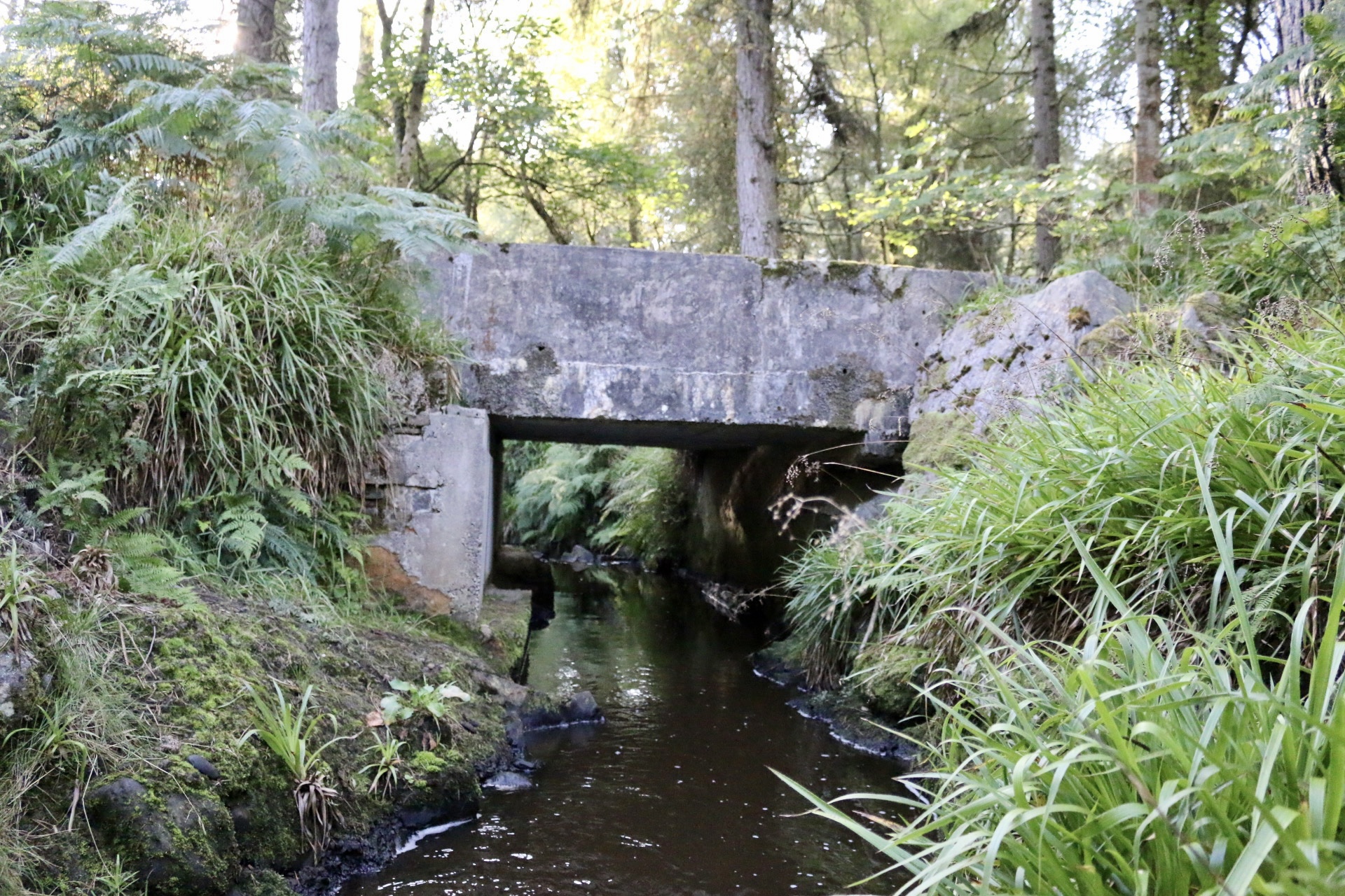 The Bin of Cullen Tracy Goes Outside