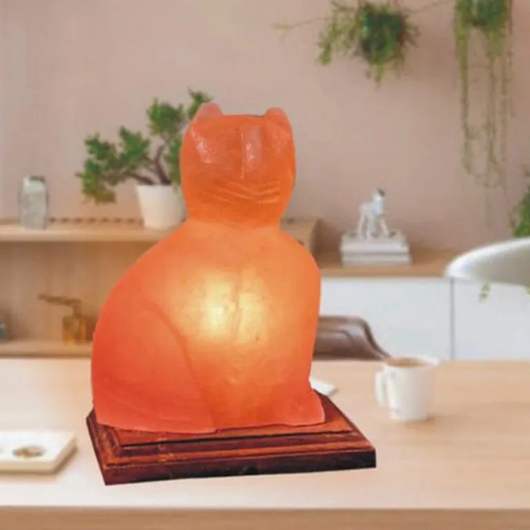 Cat Himalayan Salt Lamp The Only Way Is Melts