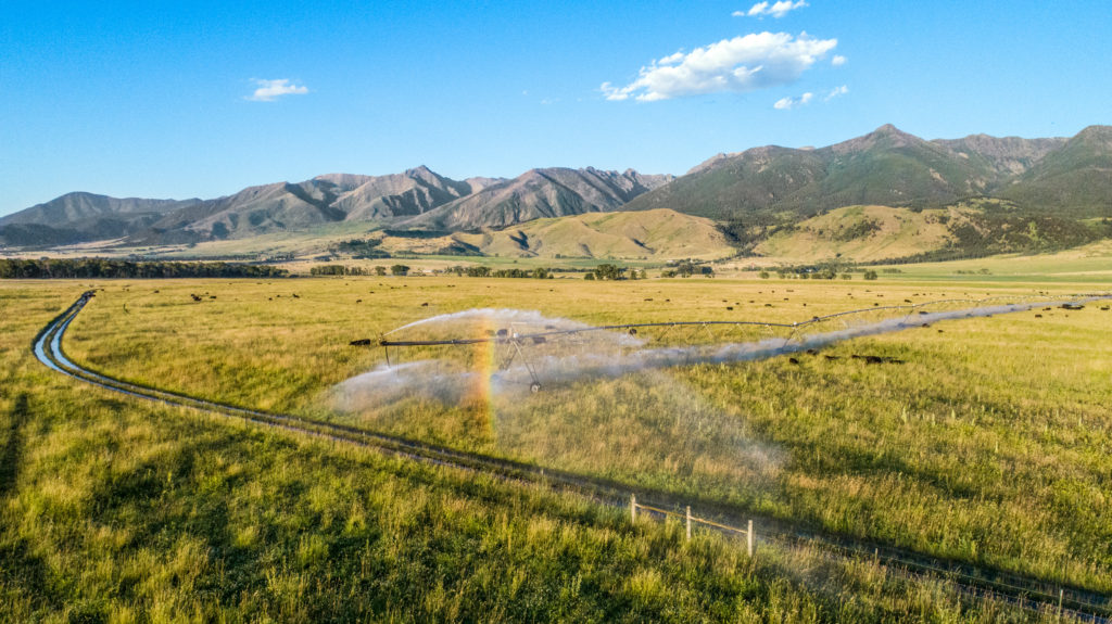 Extraordinary Yellowstone River Ranch in Livingston Montana