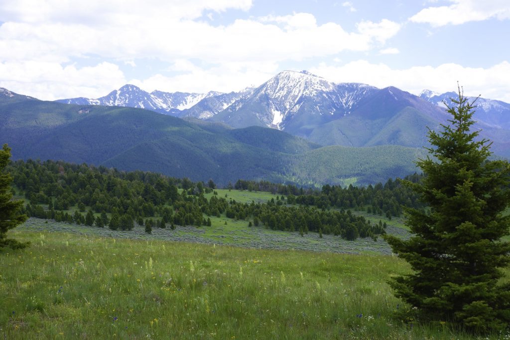 Recreational Paradise Near Livingston Montana