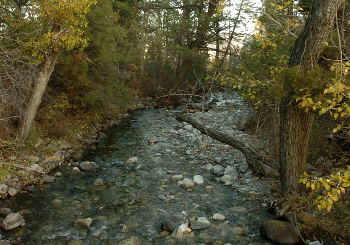 Historic Pine Creek Farm