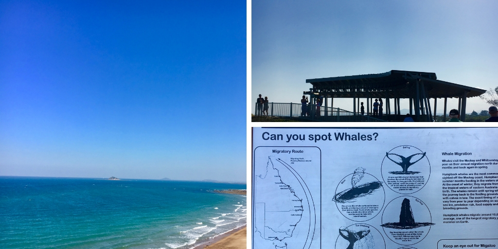 Best Things to do in Mackay in Queensland Australia