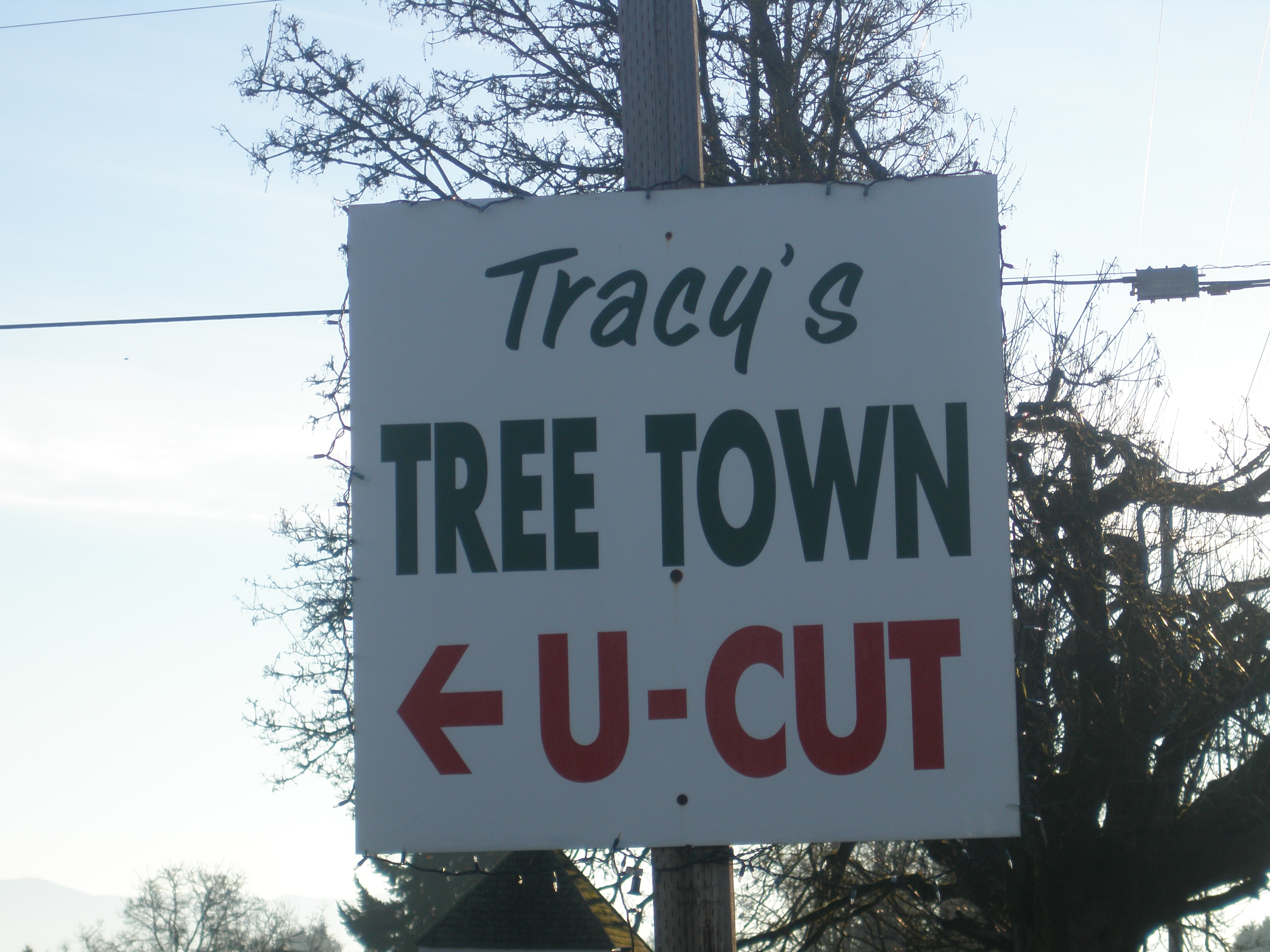 Tracy's Tree Farm