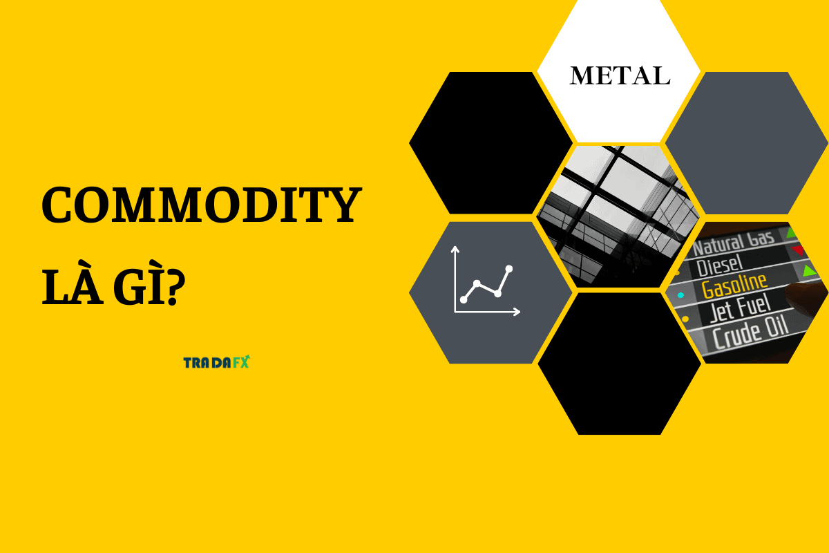 Commodity Là Gì? Phân Loại Commodity Hàng Hóa Như Thế Nào? TradaFX