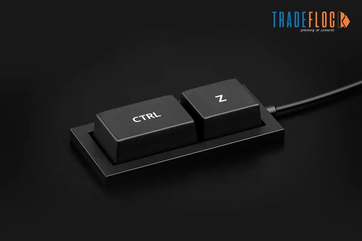 Redo Shortcut & Undo ShortcutHow To CommandWhat Is The Use