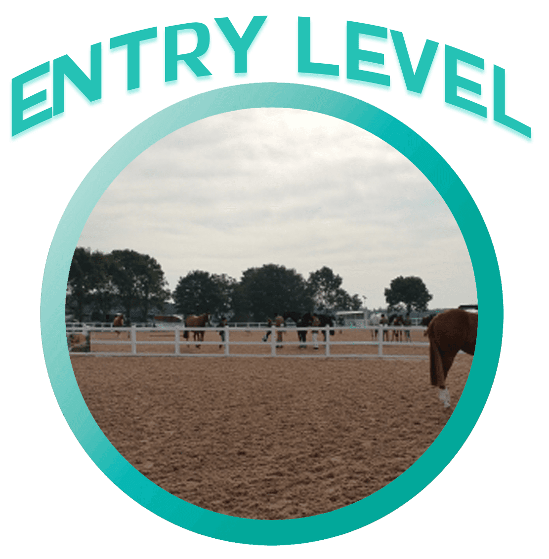 Entry Level Complete Horse Arena Package for 20m x 60m Manege 100