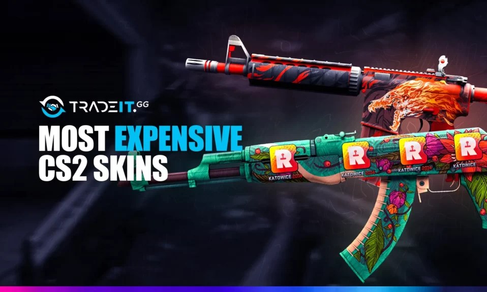 Most Expensive CS2 Skin in 2024 - TOP 15 Rarest Skins