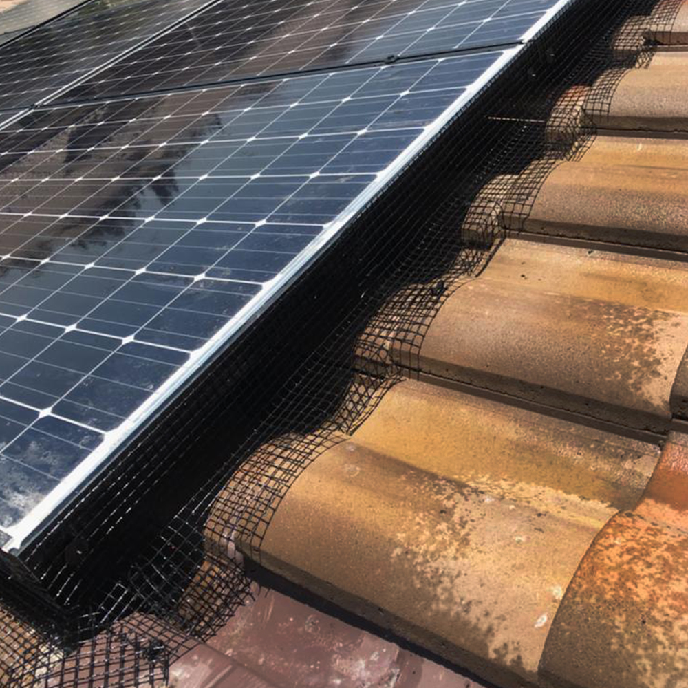 Solar Panel Bird Control & Pigeon Protection Bird Mesh Pigeon