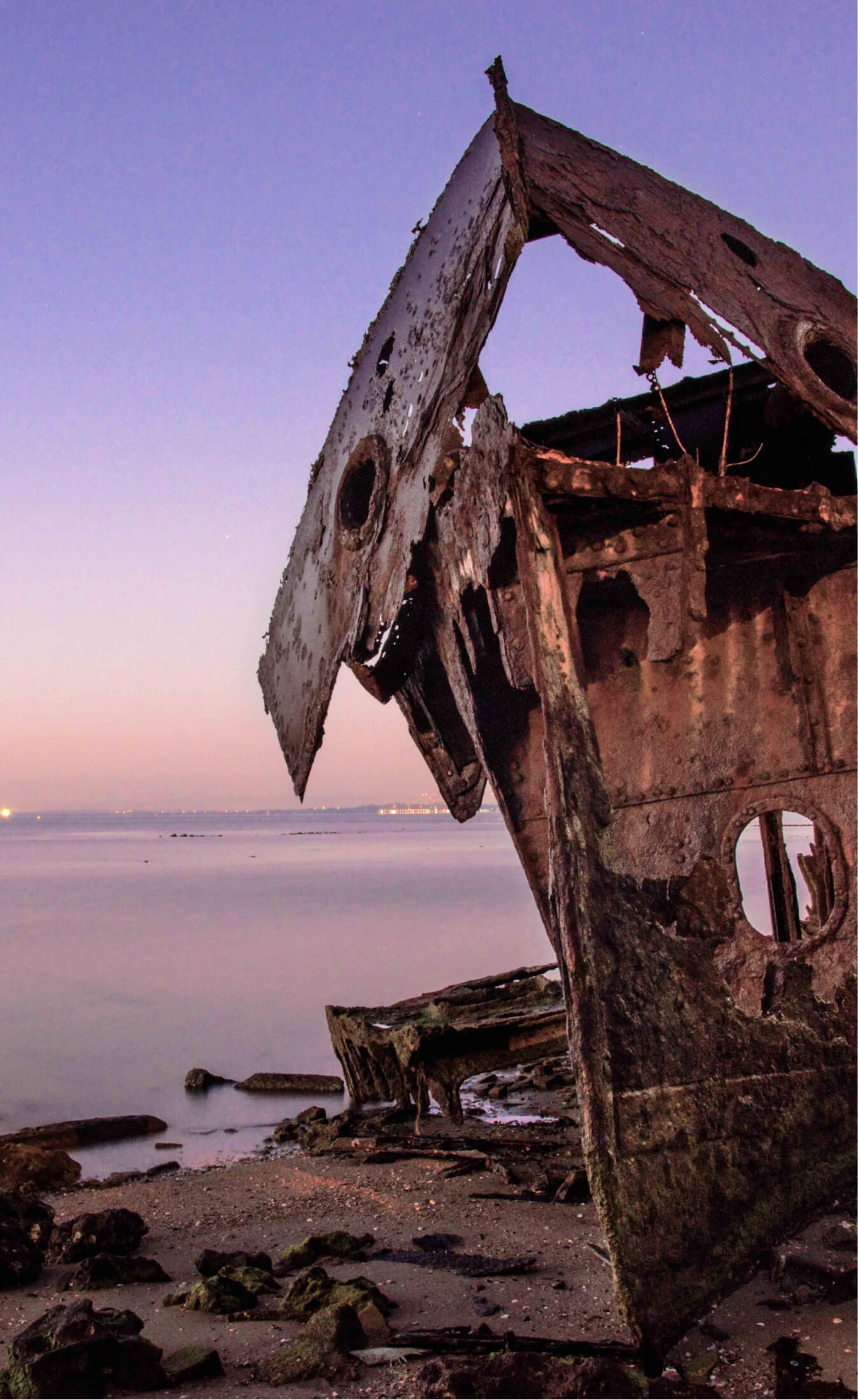 Waters Edge, Woody Point QLD Traders In Purple