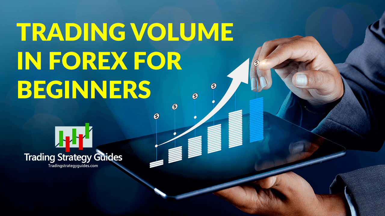 How to Build Your Own Forex Trading Plan Learn To Trade The.