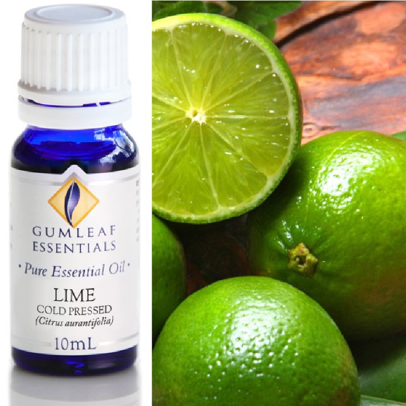 Lime Cold Pressed Essential Oil Trading Tree