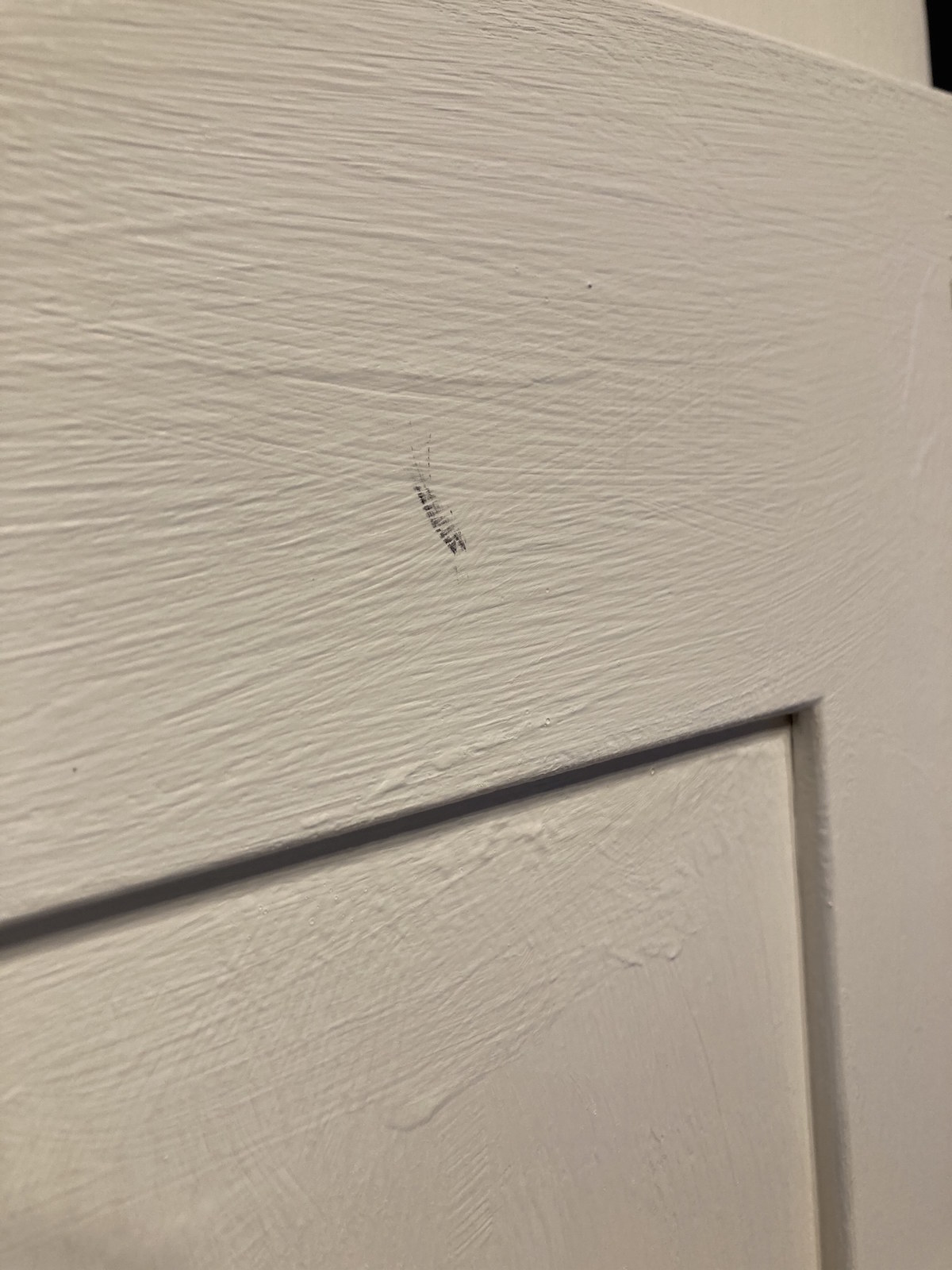 Painted kitchen in Rossett in Wrexham Traditional Painter