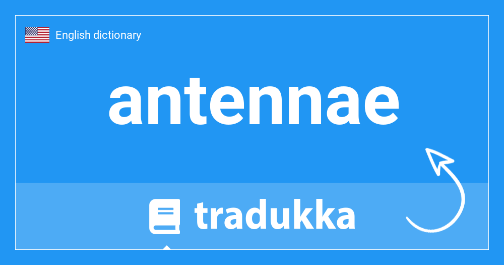 What is antennae? Tradukka