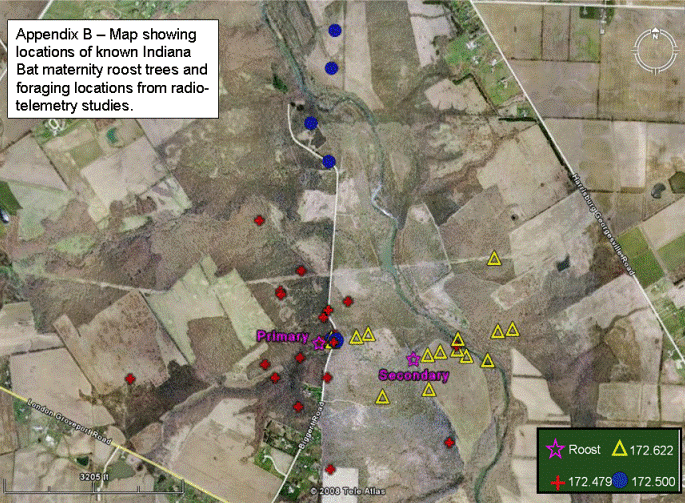 TRAGUS Indiana Bat Services Residential Development