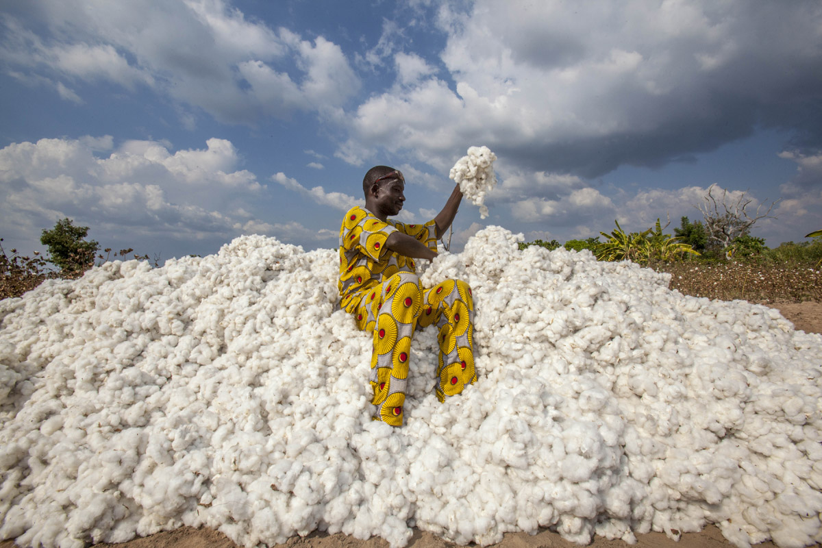 Growing Benin's Organic Cotton Sector TRAID
