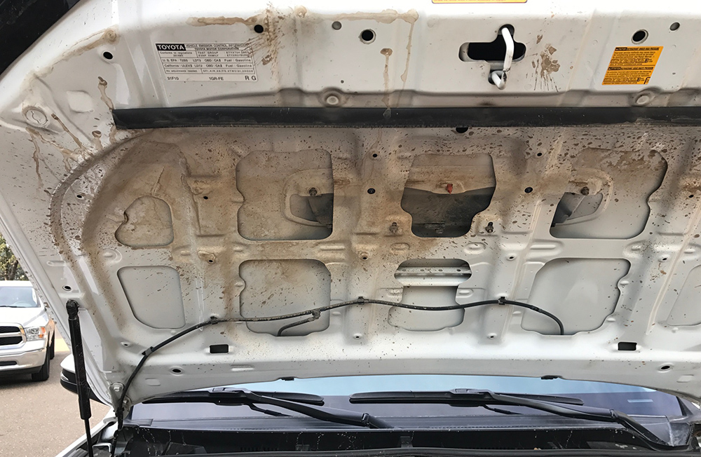 5th Gen 4Runner Engine Cleaning: How to Clean Your Engine