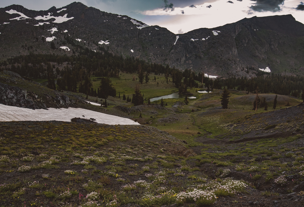 Blue Lake to Red Lake 4x4 Trail Forestdale Road & Forestdale Divide