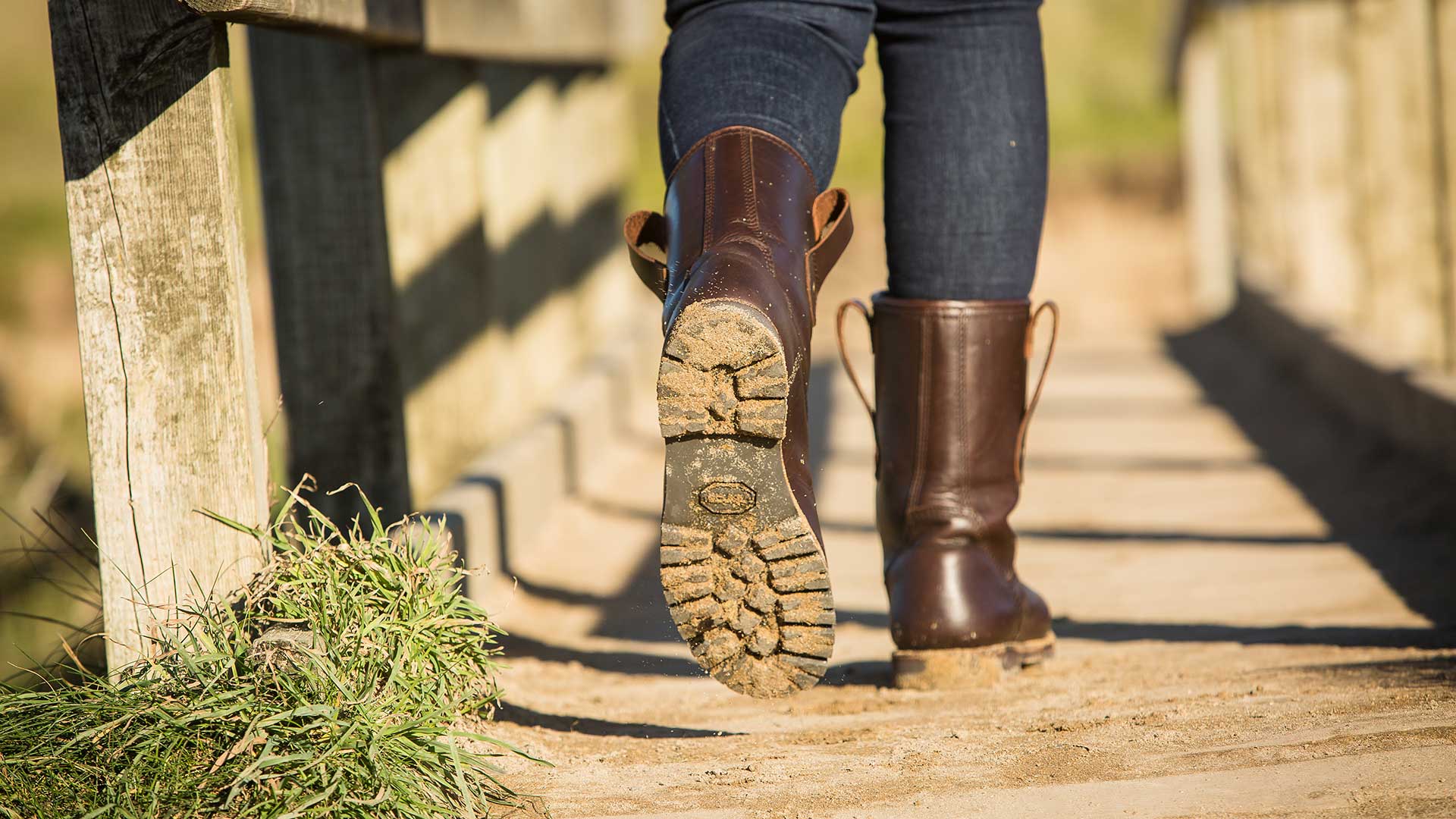Trailback Riggers Waterproof Walking Boots Dog Walking Boots