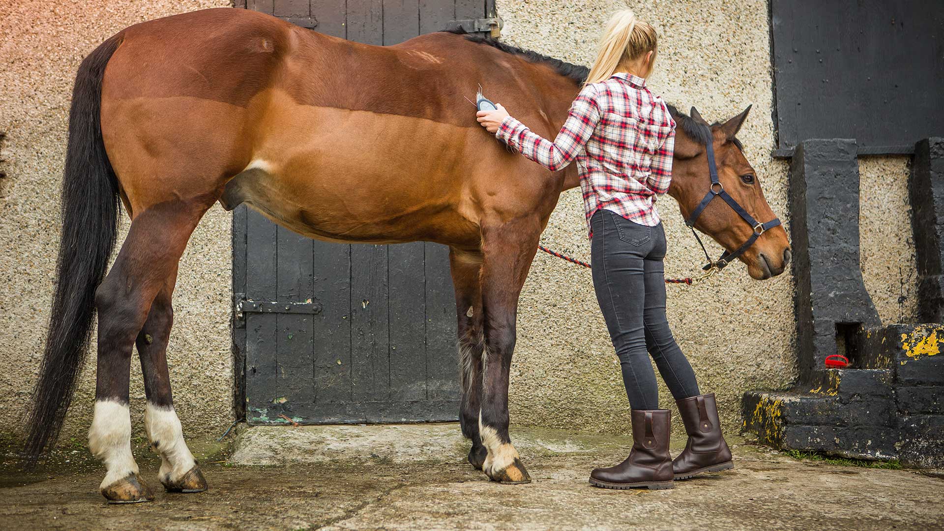 Trailback Riggers Waterproof Walking Boots Dog Walking Boots