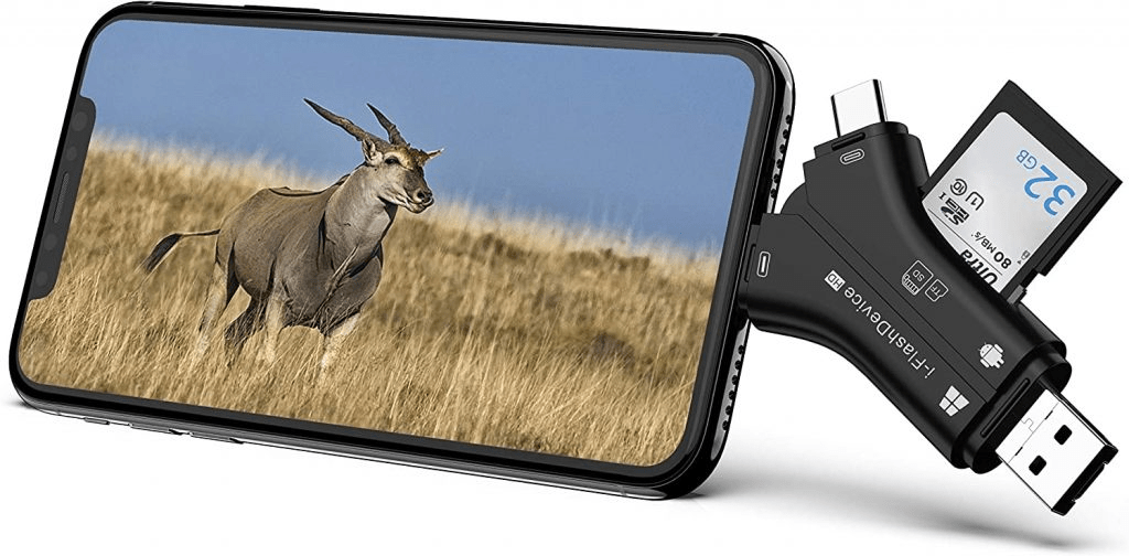What Size SD Card Is Needed for a Trail Camera?