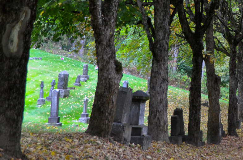 Update natural burials approved for city’s cemetery Trail Champion