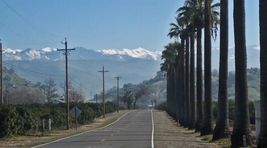 Plan Your Trip To Sequoia National Park With Viator