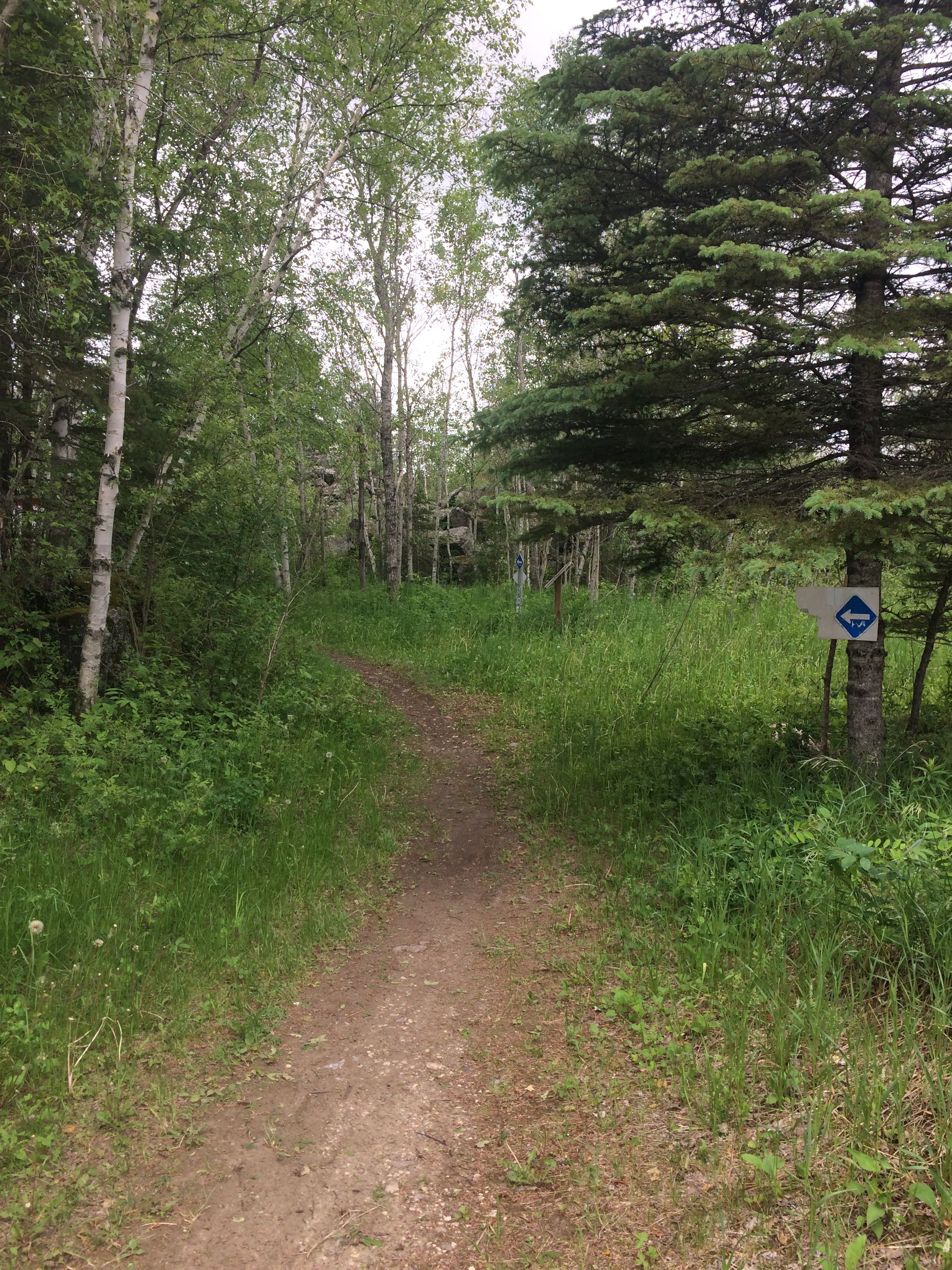 Pinawa's Great Trail The Trail Lady