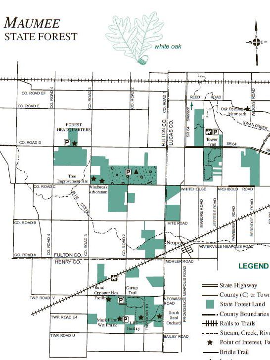 Maumee State Forest