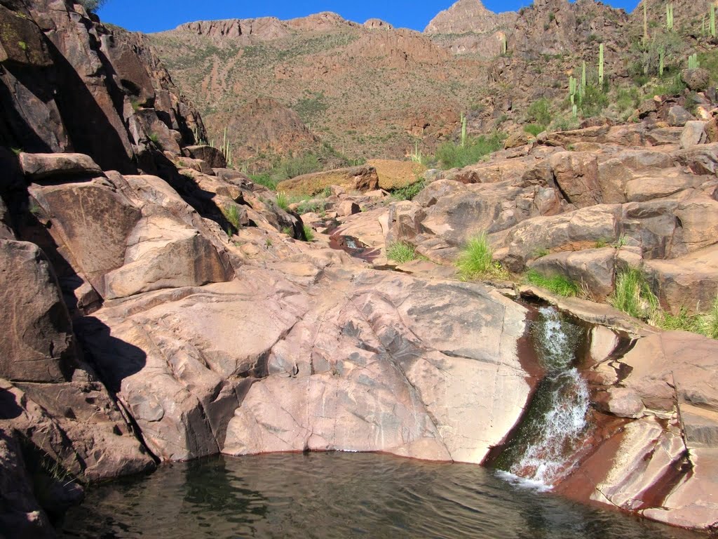 Seeing Arizona’s Best Sights on the Peralta Trail