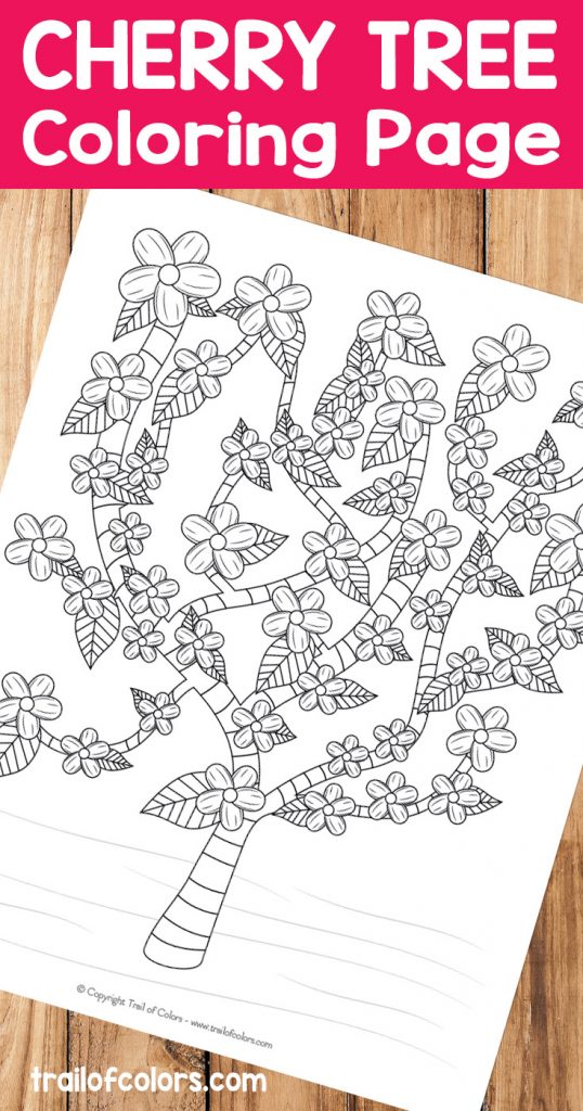 Free Printable Cherry Tree Coloring Page Trail Of Colors