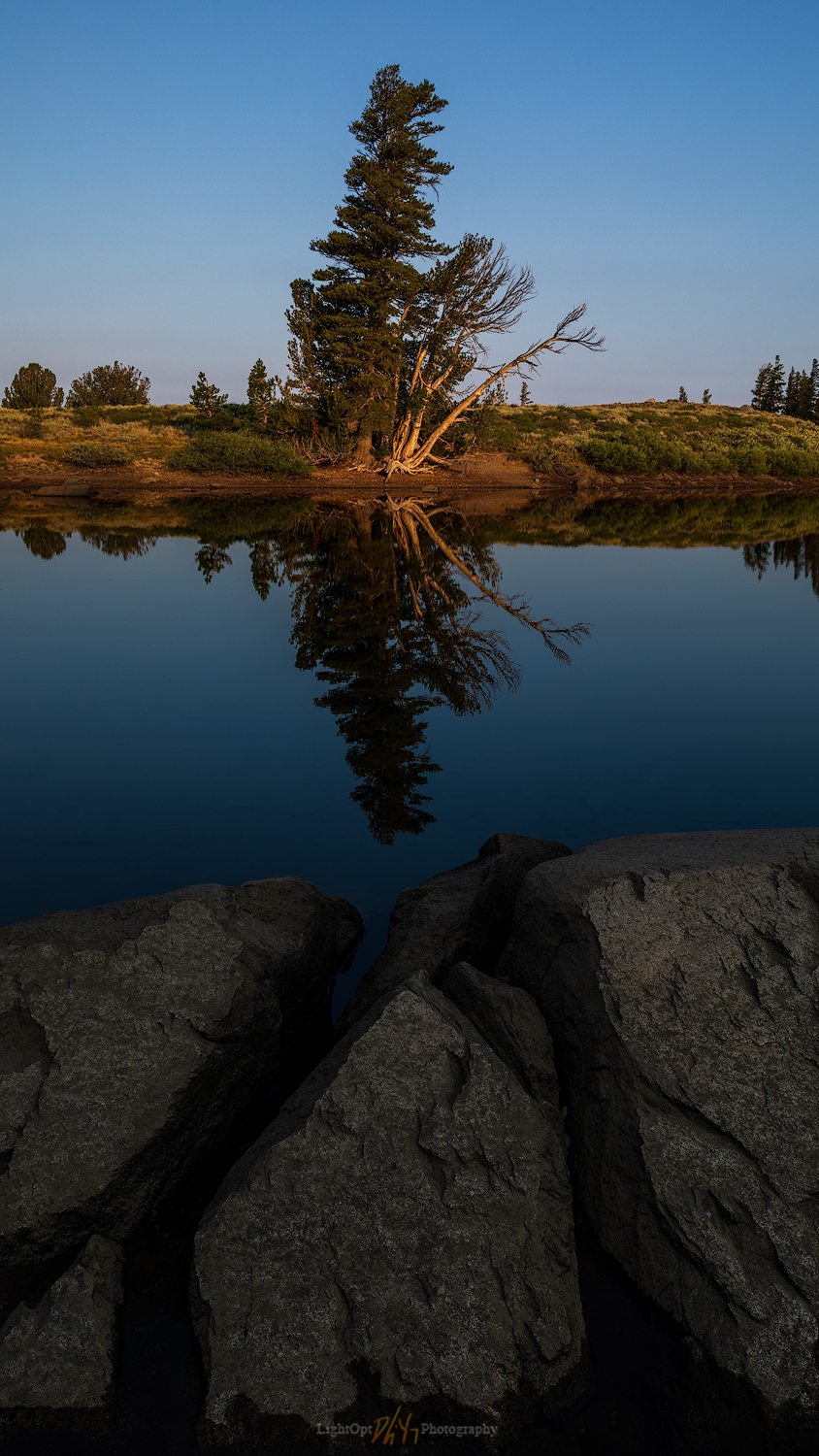 Frog Lake Recon, Carson Pass, CA