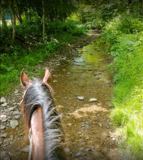 Best Western PA Horse Trails with Trail Maps